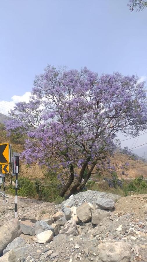 Astraal Resorts And Spa Rishikesh Exterior photo